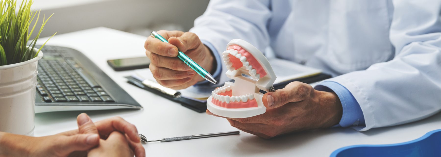 A Dentist Demonstrates Tooth Decay Prevention With A Toothbrush And Tooth Model In Walton Way Ext., Augusta, Georgia